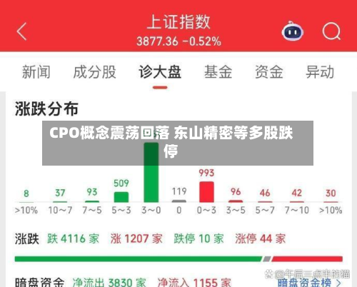 CPO概念震荡回落 东山精密等多股跌停-第2张图片