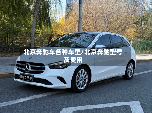 北京奔驰车各种车型/北京奔驰型号及费用