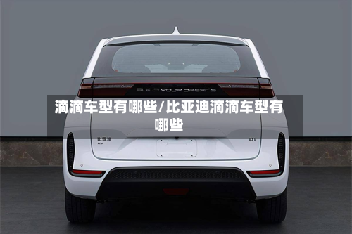 滴滴车型有哪些/比亚迪滴滴车型有哪些-第2张图片