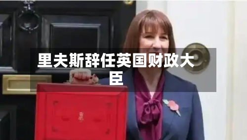 里夫斯辞任英国财政大臣-第2张图片
