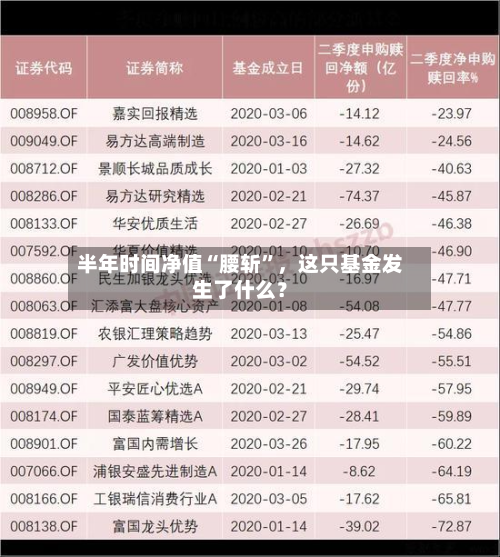半年时间净值“腰斩”，这只基金发生了什么？-第2张图片