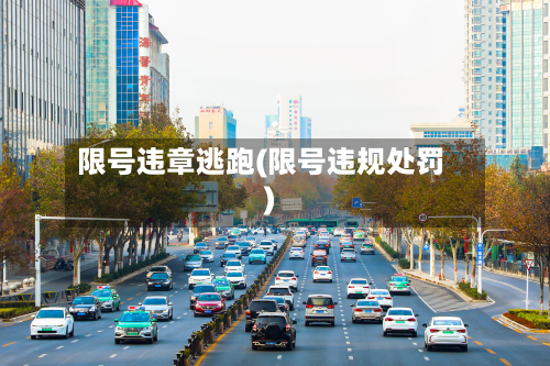 限号违章逃跑(限号违规处罚)