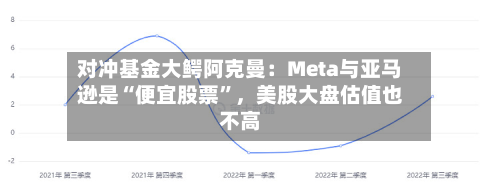 对冲基金大鳄阿克曼：Meta与亚马逊是“便宜股票”，美股大盘估值也不高-第3张图片