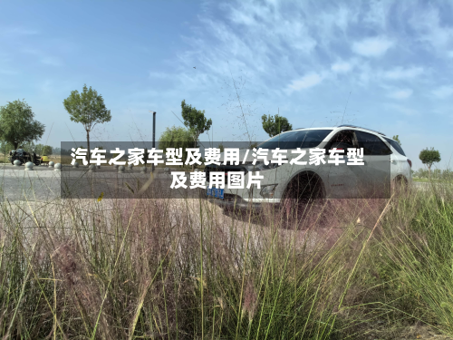 汽车之家车型及费用/汽车之家车型及费用图片