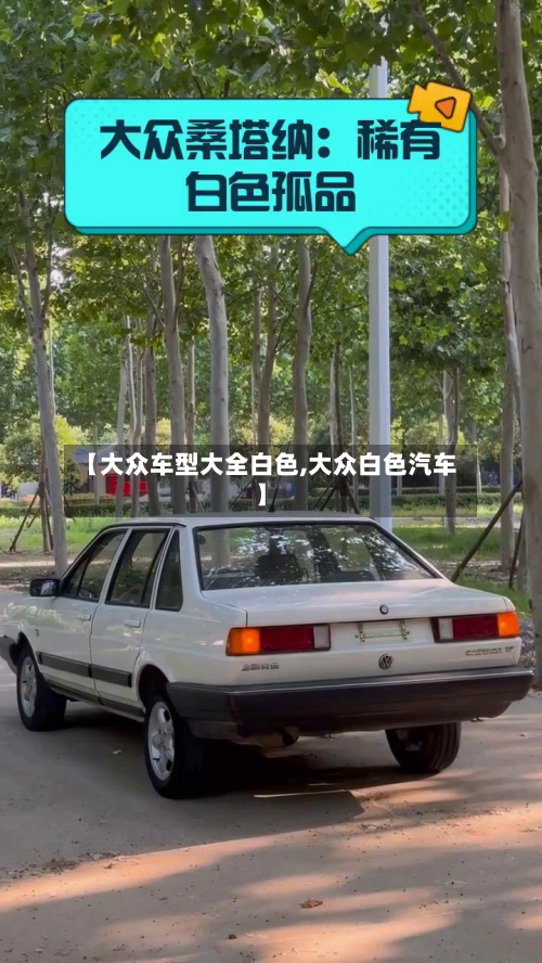 【大众车型大全白色,大众白色汽车】-第2张图片