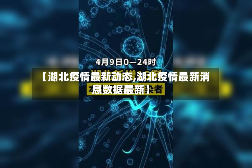 【湖北疫情最新动态,湖北疫情最新消息数据最新】