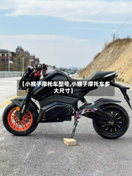 【小猴子摩托车型号,小猴子摩托车多大尺寸】-第2张图片