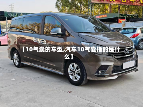 【10气囊的车型,汽车10气囊指的是什么】