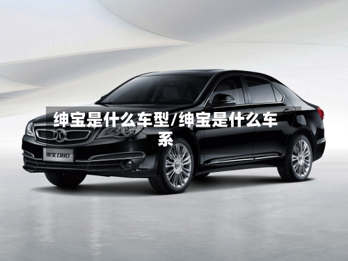 绅宝是什么车型/绅宝是什么车系