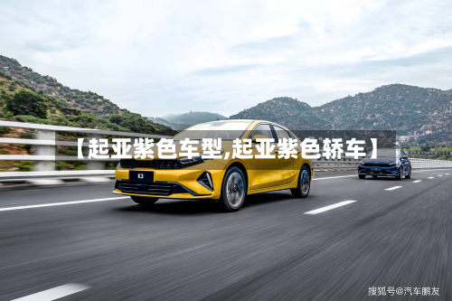 【起亚紫色车型,起亚紫色轿车】