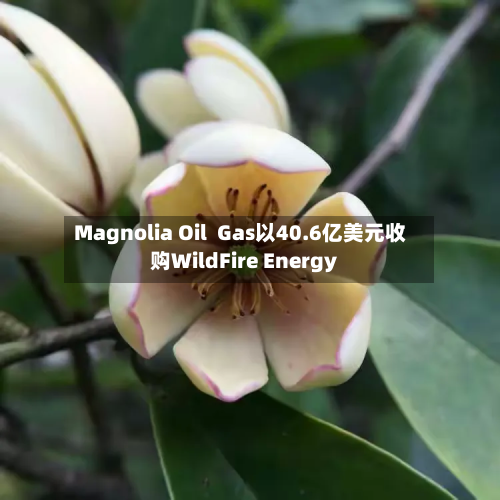 Magnolia Oil  Gas以40.6亿美元收购WildFire Energy