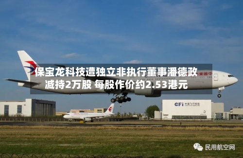 保宝龙科技遭独立非执行董事潘德政减持2万股 每股作价约2.53港元-第1张图片