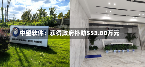 中望软件：获得政府补助553.80万元