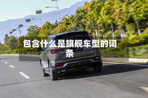 包含什么是旗舰车型的词条