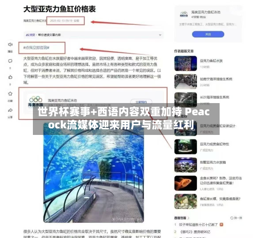 世界杯赛事+西语内容双重加持 Peacock流媒体迎来用户与流量红利-第1张图片