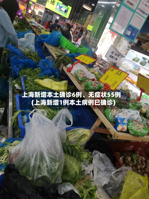 上海新增本土确诊6例、无症状55例(上海新增1例本土病例巳确诊)-第2张图片