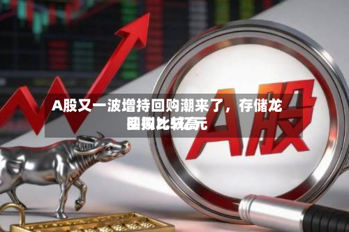 A股又一波增持回购潮来了，存储龙头拟比较高回购2.5亿元-第2张图片