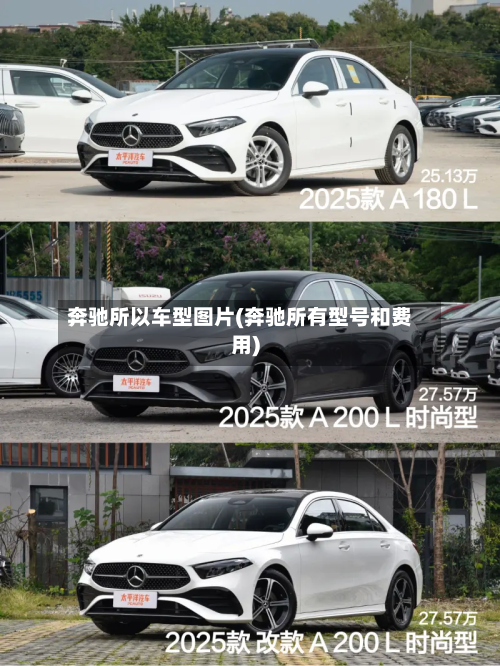 奔驰所以车型图片(奔驰所有型号和费用)