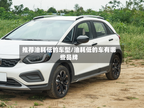 推荐油耗低的车型/油耗低的车有哪些品牌-第2张图片