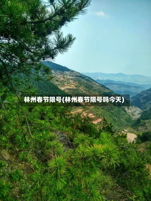 林州春节限号(林州春节限号吗今天)-第2张图片