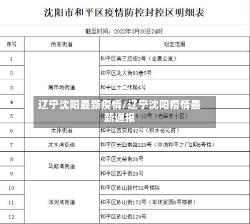辽宁沈阳最新疫情/辽宁沈阳疫情最新通报-第3张图片