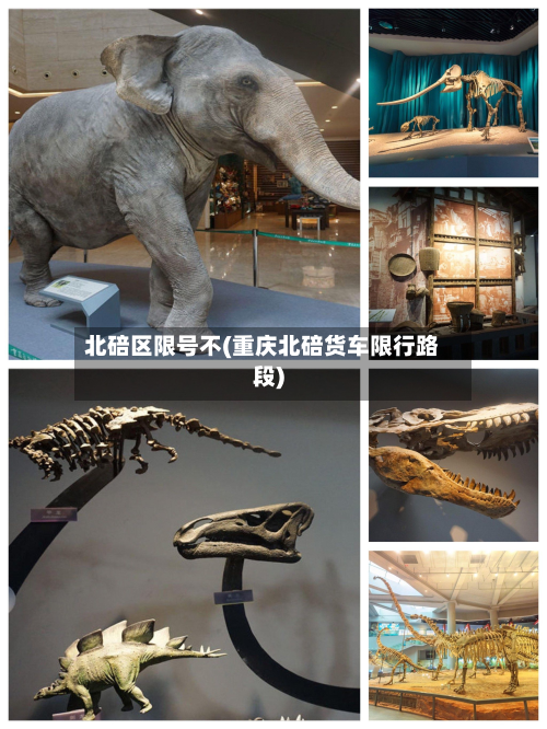 北碚区限号不(重庆北碚货车限行路段)-第3张图片