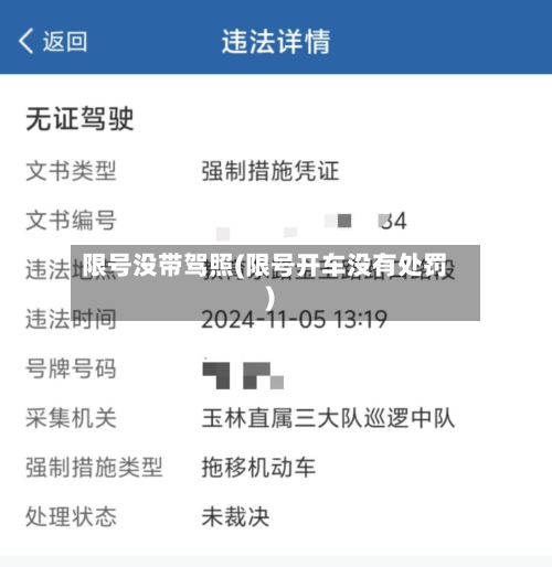 限号没带驾照(限号开车没有处罚)