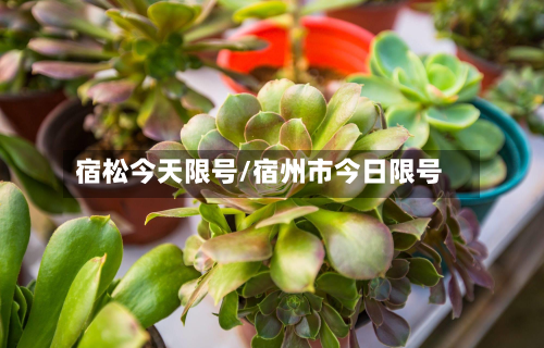 宿松今天限号/宿州市今日限号-第3张图片