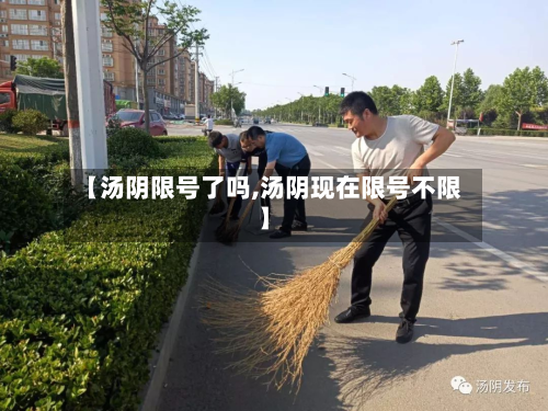 【汤阴限号了吗,汤阴现在限号不限】-第2张图片
