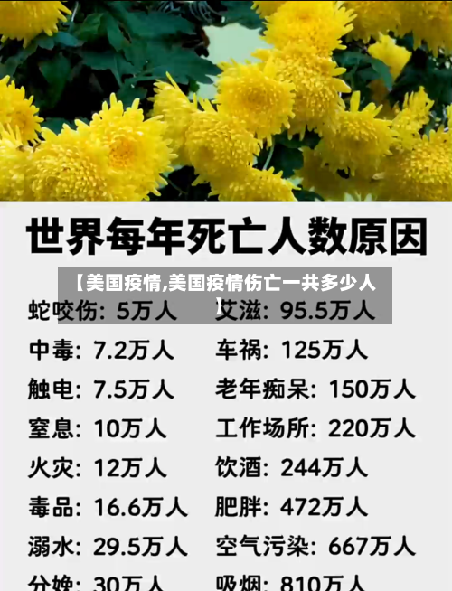 【美国疫情,美国疫情伤亡一共多少人】-第3张图片