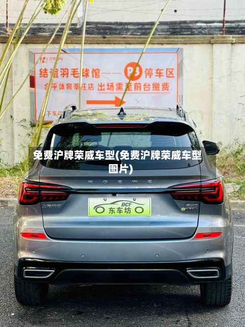 免费沪牌荣威车型(免费沪牌荣威车型图片)-第2张图片