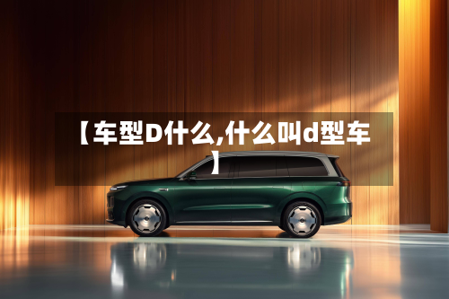 【车型D什么,什么叫d型车】-第2张图片