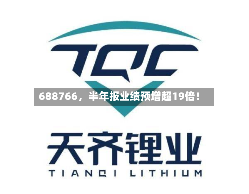 688766，半年报业绩预增超19倍！-第2张图片