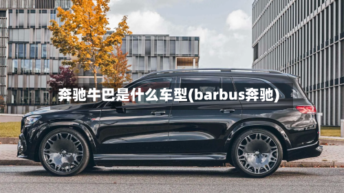 奔驰牛巴是什么车型(barbus奔驰)