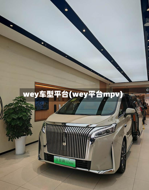 wey车型平台(wey平台mpv)