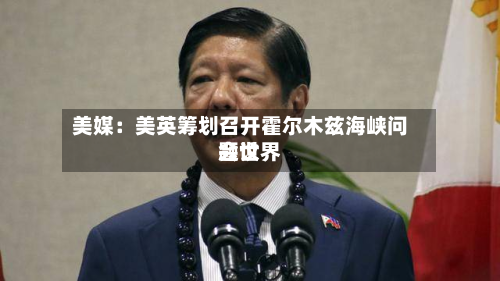 美媒：美英筹划召开霍尔木兹海峡问题世界会议