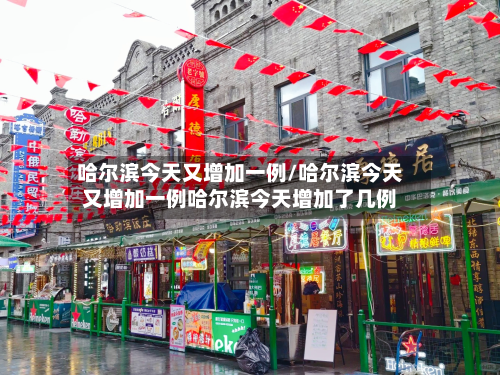 哈尔滨今天又增加一例/哈尔滨今天又增加一例哈尔滨今天增加了几例-第2张图片