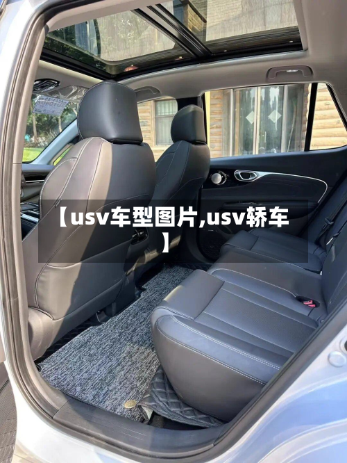 【usv车型图片,usv轿车】-第3张图片