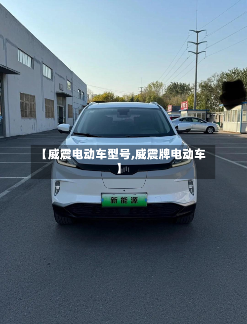 【威震电动车型号,威震牌电动车】-第2张图片