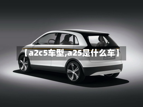 【a2c5车型,a25是什么车】-第2张图片