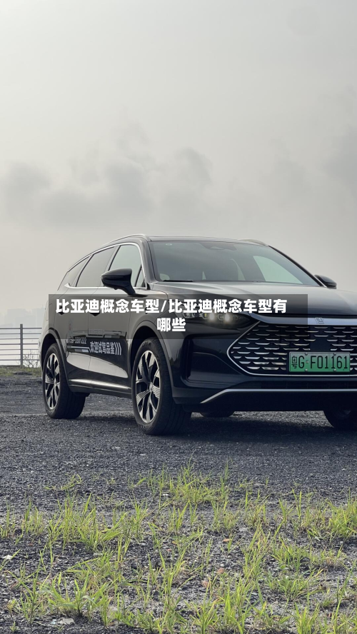 比亚迪概念车型/比亚迪概念车型有哪些
