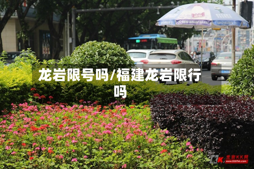 龙岩限号吗/福建龙岩限行吗-第2张图片