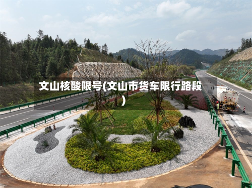 文山核酸限号(文山市货车限行路段)
