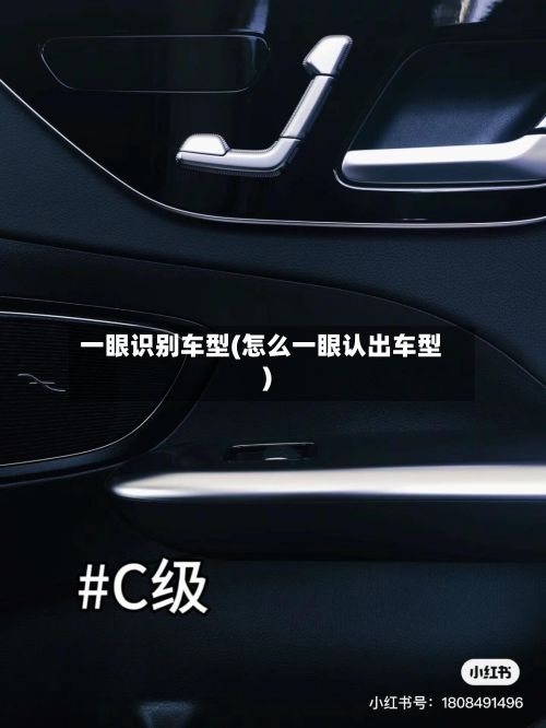 一眼识别车型(怎么一眼认出车型)