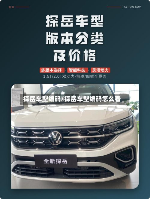 探岳车型编码/探岳车型编码怎么看-第3张图片