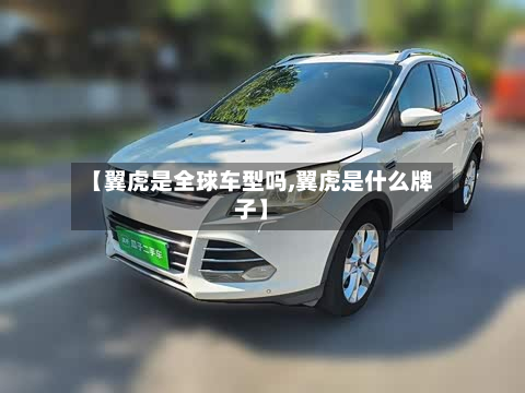 【翼虎是全球车型吗,翼虎是什么牌子】