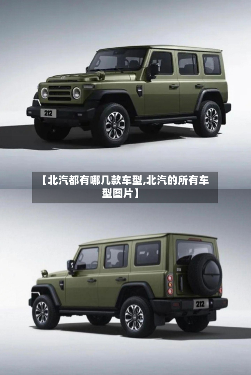【北汽都有哪几款车型,北汽的所有车型图片】-第3张图片