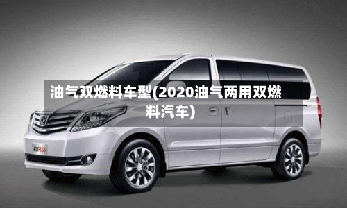 油气双燃料车型(2020油气两用双燃料汽车)